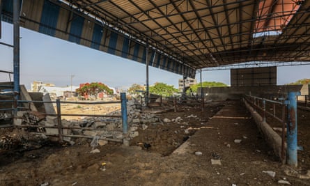 A damaged animal farm after the Israeli attack on Al-Maghazi refugee camp