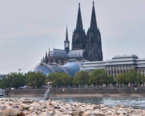 A heron stands on the bank of the Rhine River which is at low water levels during a heatwave and a prolonged drought, in front of the Cologne Cathedral in Cologne, Germany.
