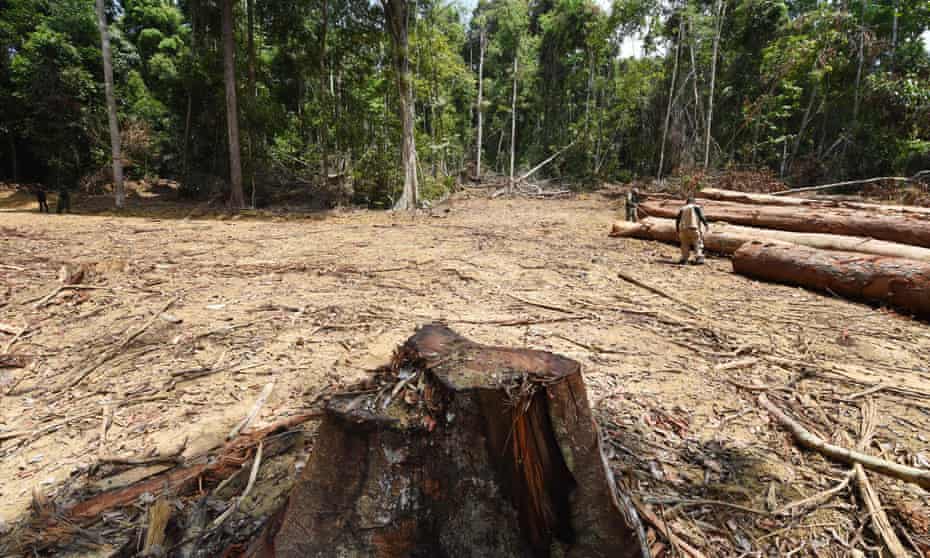 Funzionari dello Stato di Para, nel nord del Brasile, ispezionano un'area deforestata nella foresta pluviale amazzonica