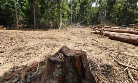 Officials from Para State, northern Brazil, inspect a deforested area in the Amazon rainforest in September 2021.
