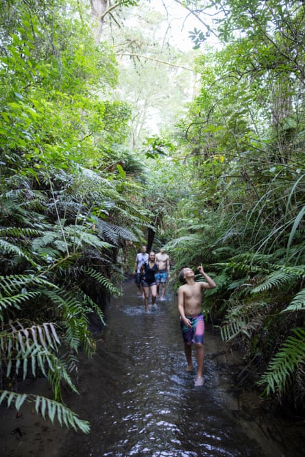 A family explore the Squeeze, a warm stream leading to hidden thermal pool with a hot waterfall, near Rotorua.