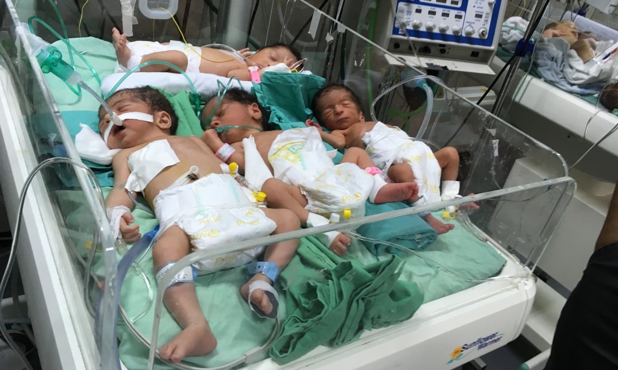 Babies born prematurely are crammed into an incubator at al-Shifa hospital in Gaza, where experts say ‘dangerous overcrowding’ has become commonplace