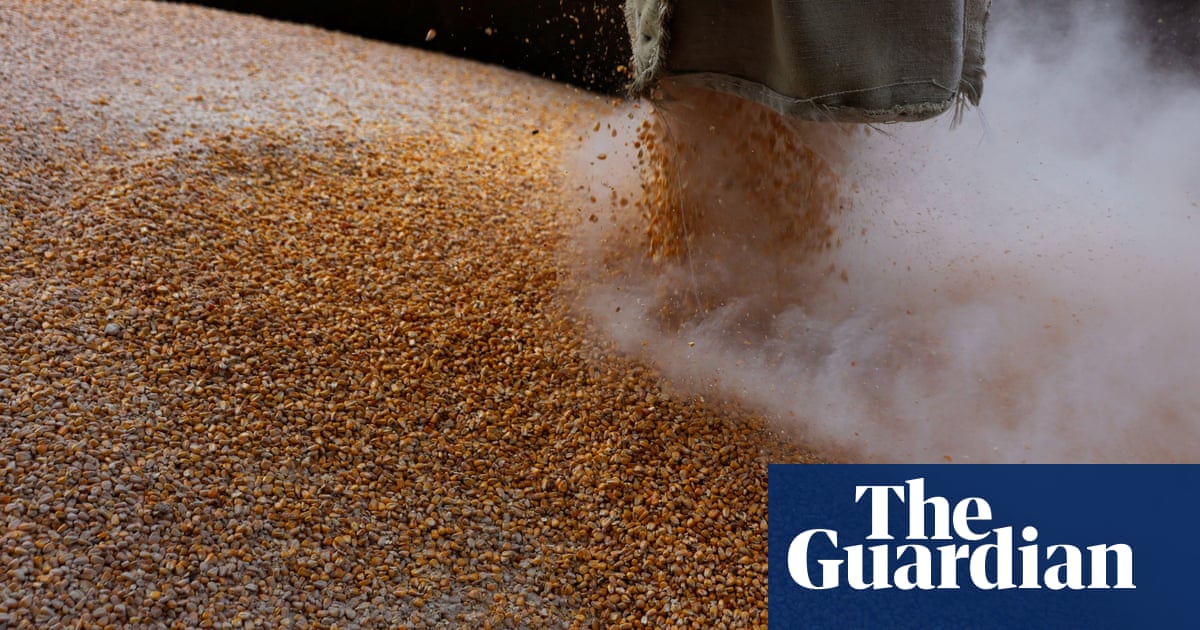 Russia and the west compete to secure safe passage for Ukraines grain