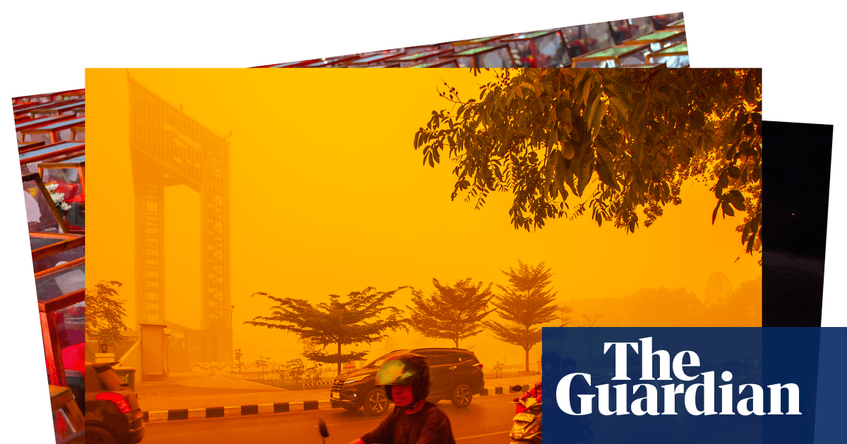 Foto: Förhandsbild från källan: The Guardian