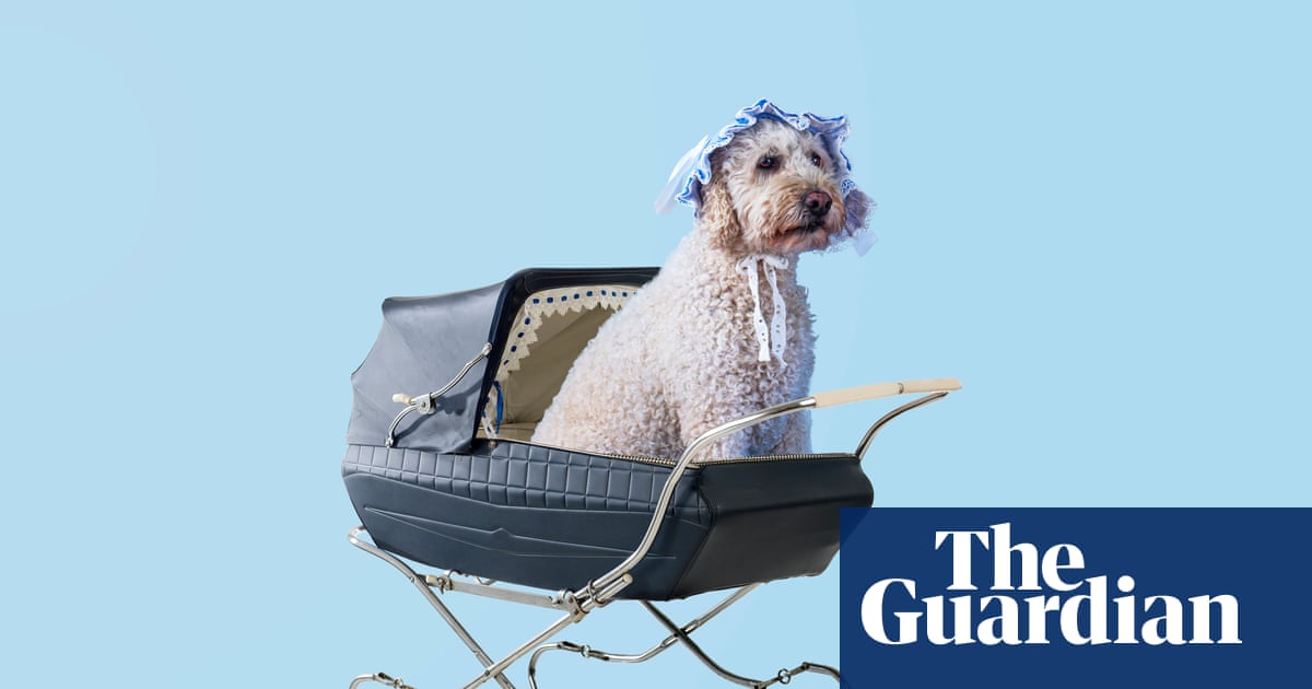 ‘When he turned two we had party hats and cake’: how dogs became the new babies