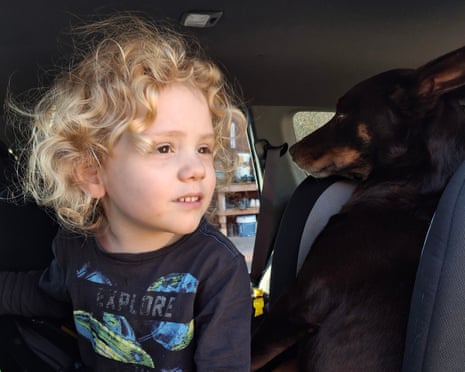 Gus Lamont's parents appeal to public for information and say 'every moment without him is unbearable' | South Australia | The Guardian