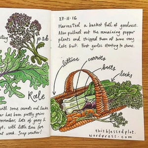 Alys Fowler 10 mejores Instagram cuentas para los jardineros 6 @Zoes_garden