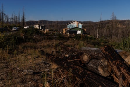 In the middle of a field of burned and toppled trees is a half-built house, with windows reflecting the evening or morning sun.