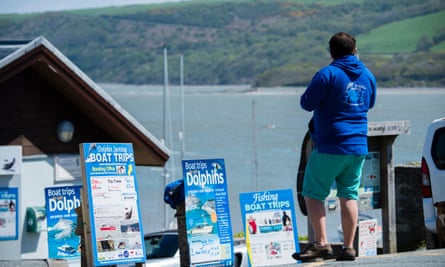 Signs advertising dolphin watching trips on Cardigan Bay