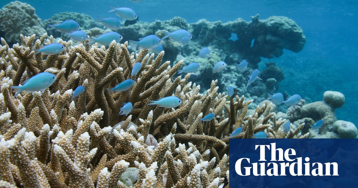 Trump order to loosen fishing regulations poses major risks, experts warn