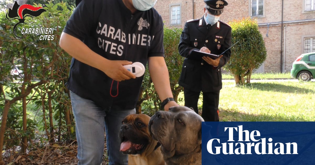 1800.jpg?width=1200&height=630&quality=8