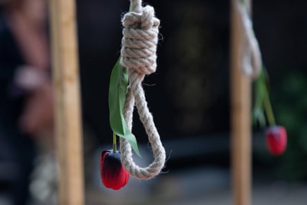Closeup of a rope noose with a red tulip affixed to it in an installation.