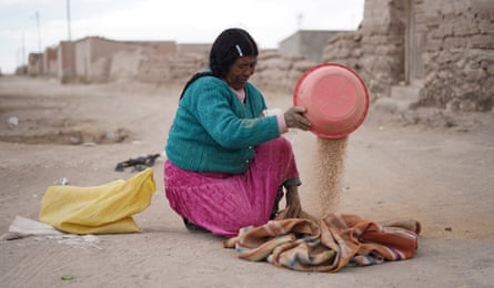 A woman winnowing a bowl of quinoa on to a blanket.