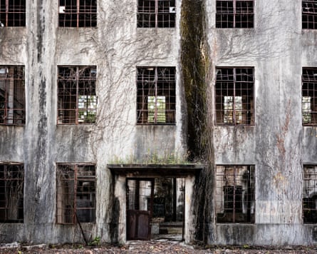 A tall stone building with empty, glassless windows and climbing vine-like plants up its frontage.
