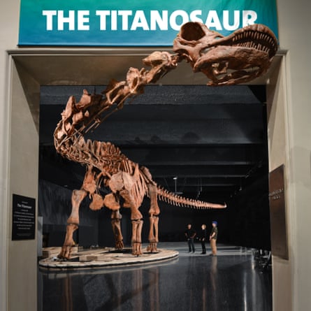 11. Titanosaur overview DF