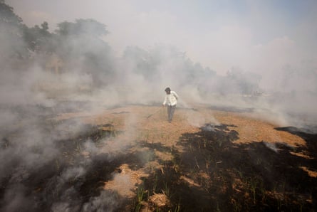 A farmer burns paddy waste stubble in a field on the outskirts of Ahmedabad, Gujarat