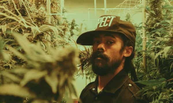 Damian Marley at a Denver marijuana facility.