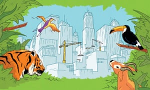 Illustration by Jasper Rietman