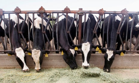 Already, dairy operations across the US have made moves toward more eco-friendly operations. But sustainability experts say more needs to be done.
