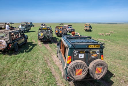 Tourist ride game viewers across a field towards a group of cheetahs in the Maasai Mara national reserve in Kenya.