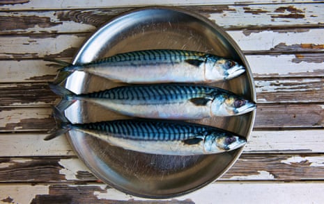 Close up of plate of mackerel