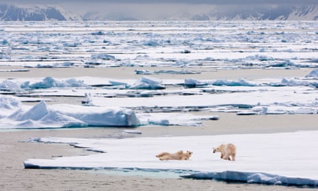 The Arctic Crisis: A Call to Action Amidst Global Warming Challenges