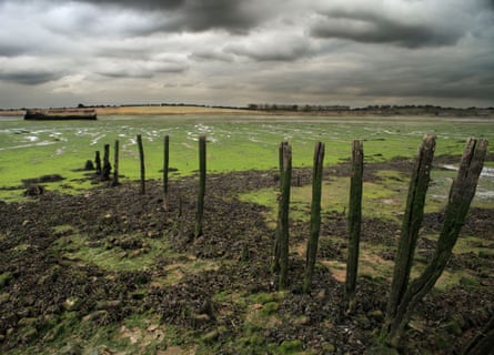 Weathered posts stand in a muddy, algae-covered estuary under stormy skies