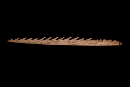 A primitive serrated hunting tool against a black backdrop