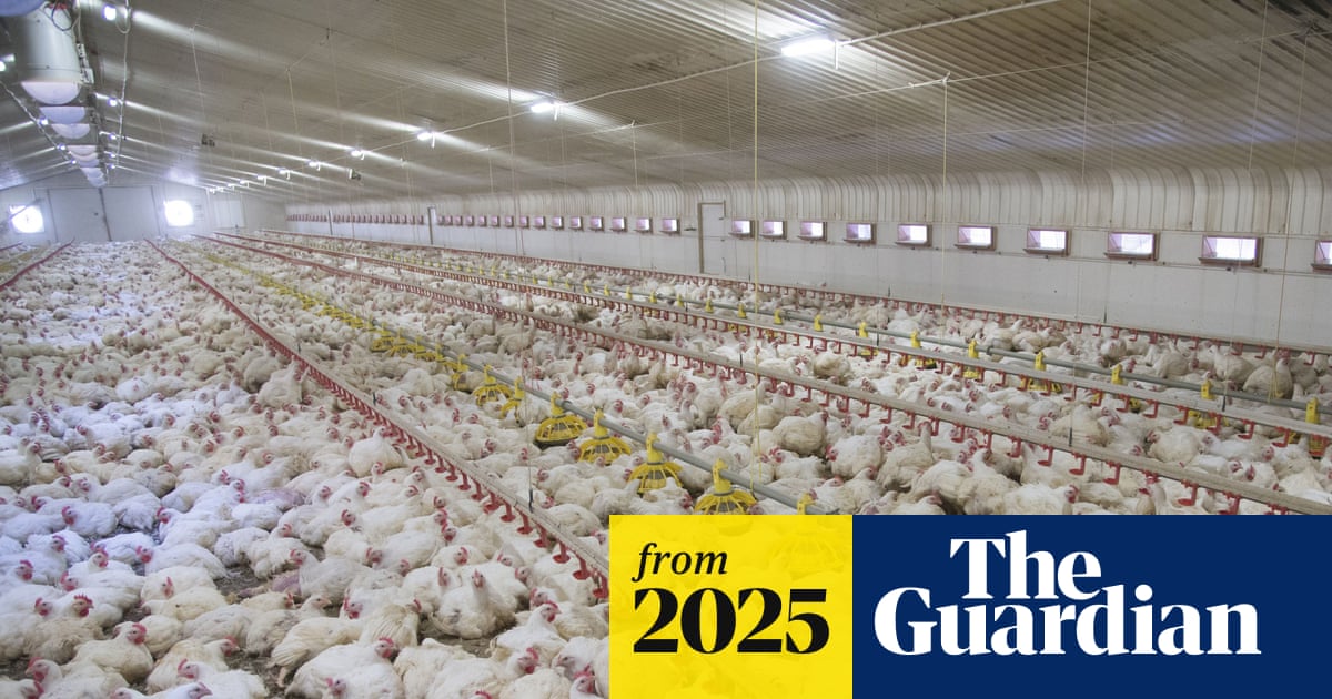 Revealed: More than 24,000 factory farms have opened across Europe