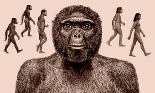 Tracing the tangled tracks of humankind's evolutionary journey