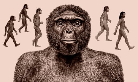 Our ancestry is still not entirely clear, although there is strong evidence for specimens such as Ardipithecus ramidus, centre, being a direct ancestor or very close to our lineage.