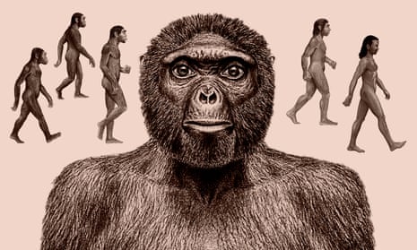Tracing the tangled tracks of humankind's evolutionary journey | Evolution | The Guardian