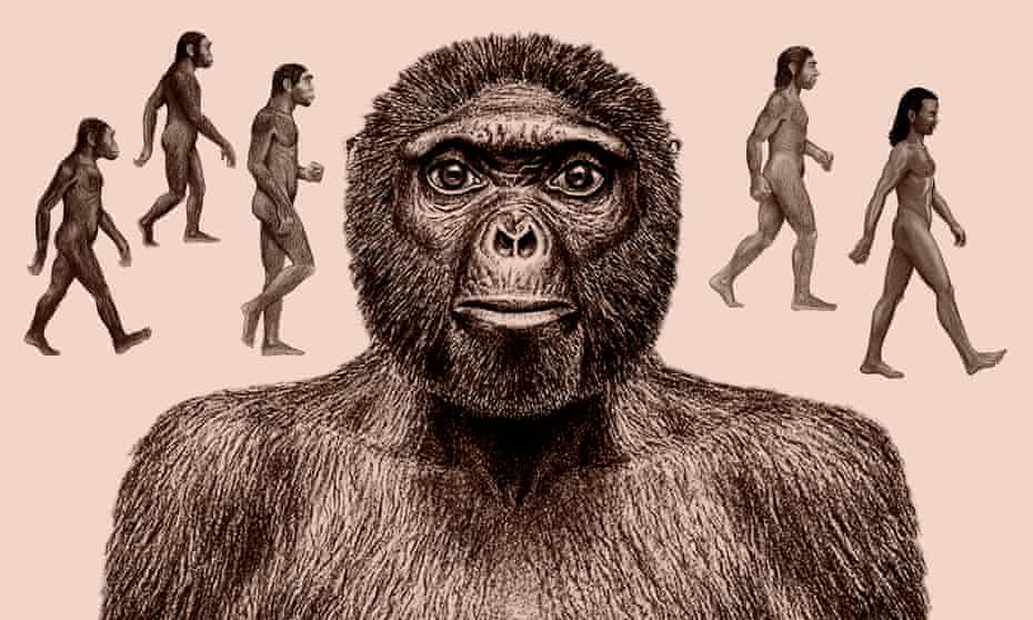 Tracing The Tangled Tracks Of Humankind S Evolutionary Journey Evolution The Guardian Tracing The Tangled Tracks Of Humankind S Evolutionary Journey Evolution The Guardian