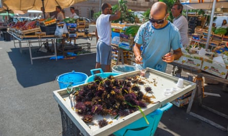 Freshly caught sea urchins in the market in Ortigia, Siracusa.