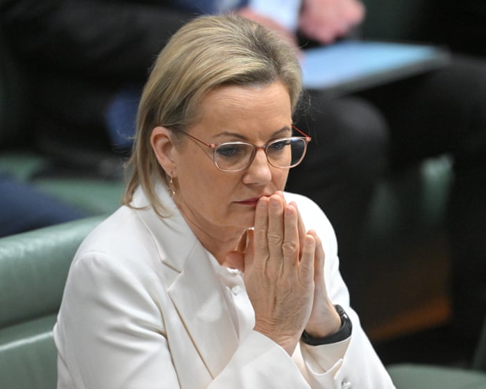 Coalition pushes to break up environment bill as fight over new nature laws heads to parliament