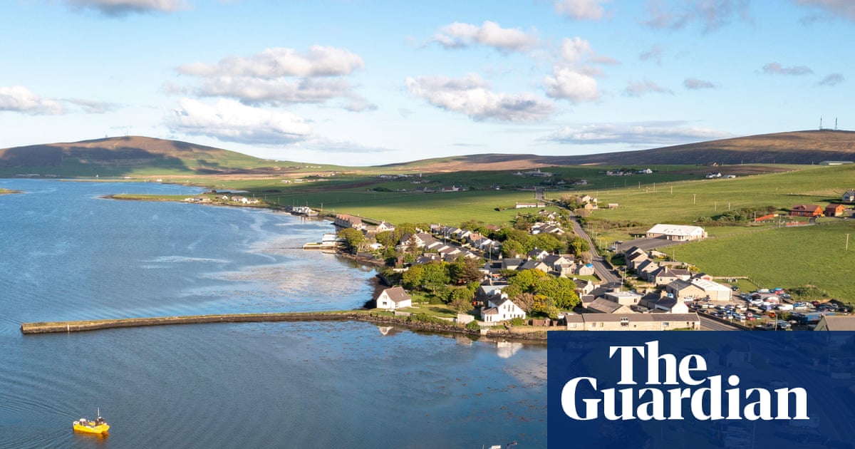 More than 15m oysters to be released in the North Sea for UK rewilding project