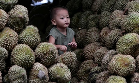 A boy at a durian market in Bangkok.
