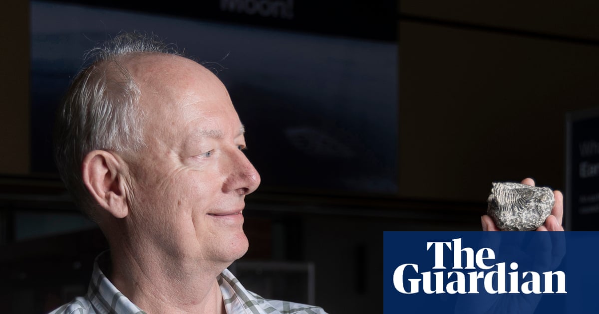 A new start after 60: I’d had several careers but no degree – then I became a palaeontologist at 62
