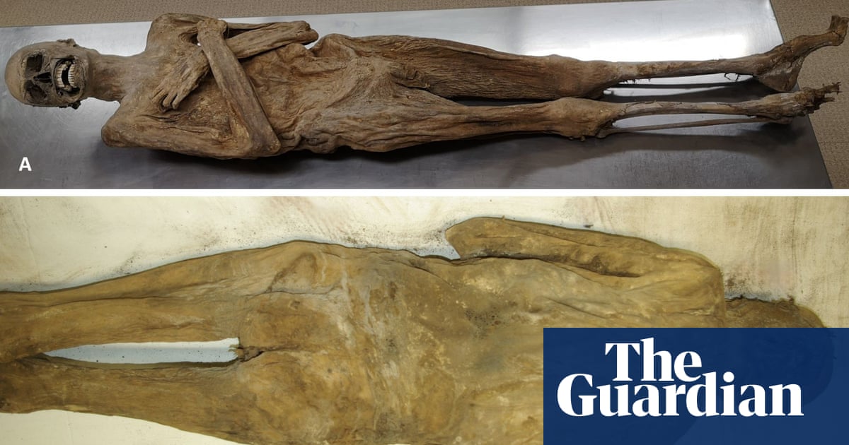 Mummy mystery solved: air-dried' priest was embalmed via rectum