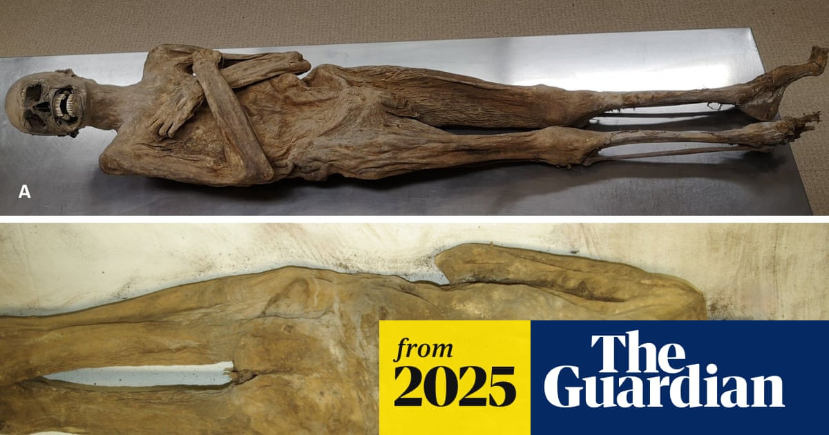 Mummy mystery solved: ‘air-dried’ priest was embalmed via rectum