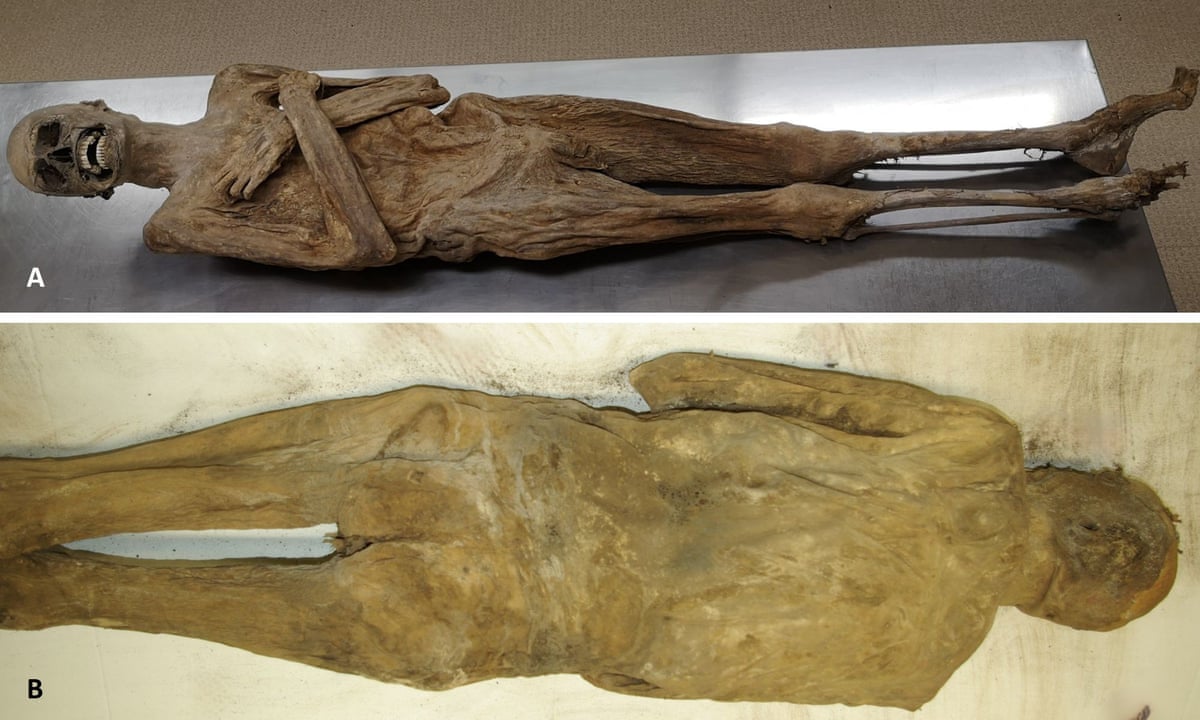 Mummy mystery solved: 'air-dried' priest was embalmed via rectum | Austria | The Guardian