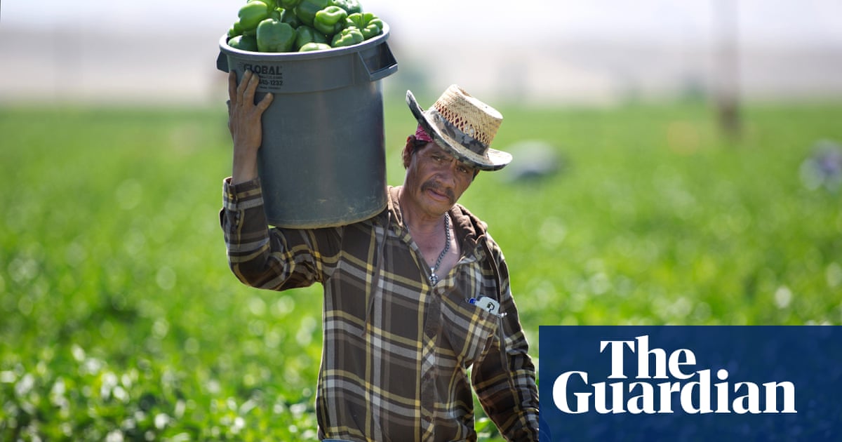 Fruits Of Labor Sunny California Is No Paradise For Farm Workers California The Guardian