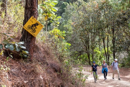 Tourists hike on a wooded trail in the Sierra Norte in Oaxaca, Mexico.