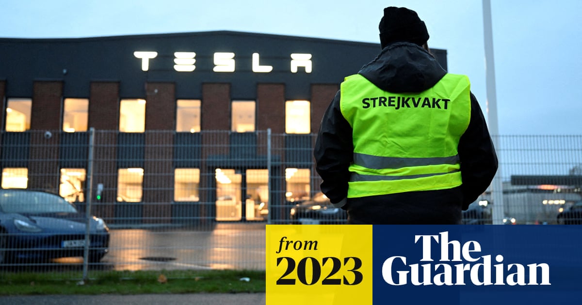www.theguardian.com