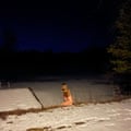 Kara-Lis Coverdale: From Where You Came
