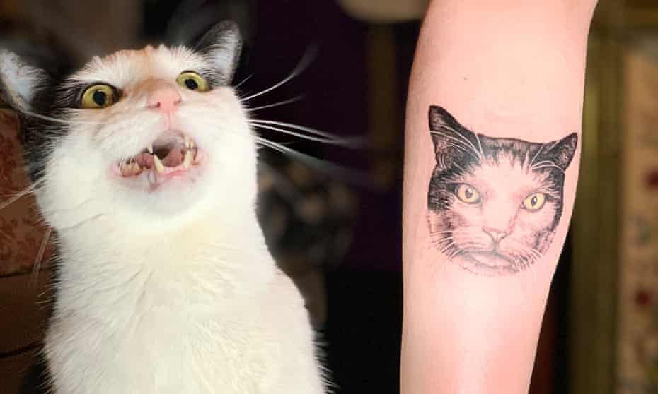 Mainly white cat with black ears miaowing next to arm of owner with cat tattoo