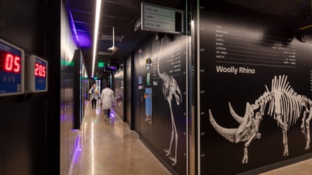 People in lab coats walk through hallways illustrated with dinosaur bones on the walls.