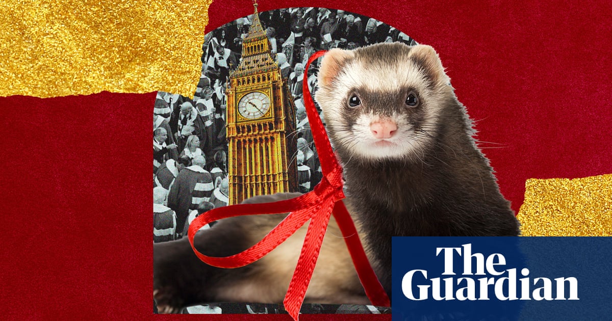 What is the House of Lords and what do peers do?