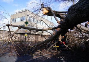 St Margarets, London: a fallen tree on a Volkswagen Golf