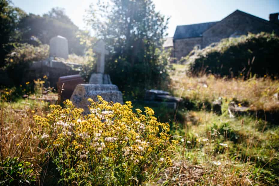 The churchyard at St Pancras Church, Plymouth.